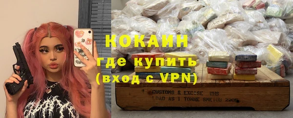 ешки Алексин